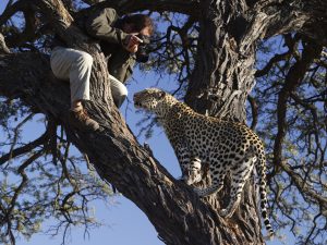 Abenteuer Afrika: Treffpunkt Wasserloch