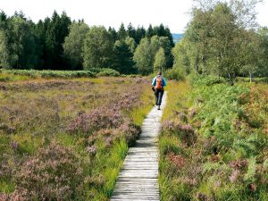 Zu Fuß durch die Eifel: Neuer Wandersteig öffnet Anfang April