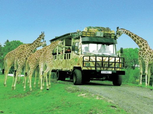 Afrika-Safari in der Lüneburger Heide: Lodge-Urlaub an der Leine