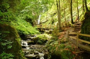 Abenteuerlich schön: Grießbachklamm