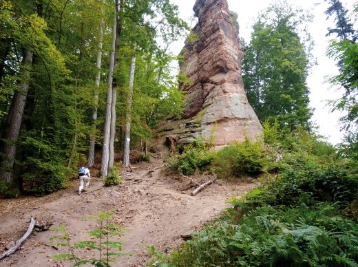 Premium-Wanderungen im sagenhaften Teil der Pfalz