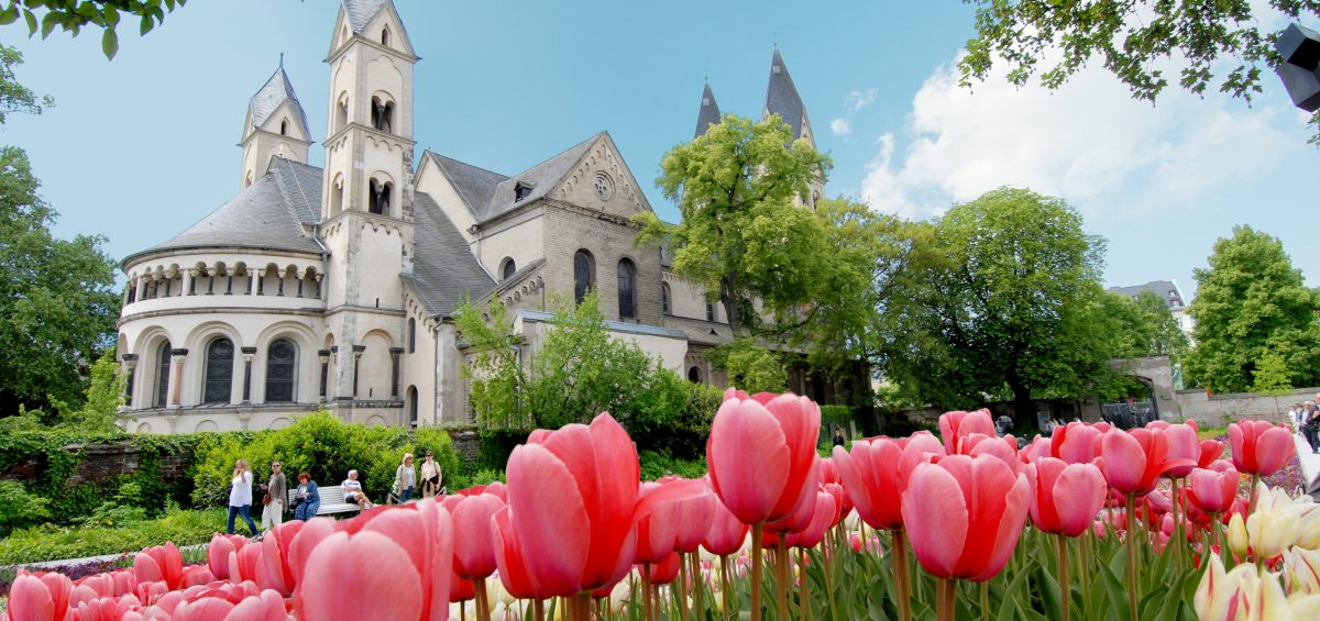 Tulpenpracht an der St. Kastor Kirche in Koblenz. Foto: Koblenz-Touristik/ideemedia
