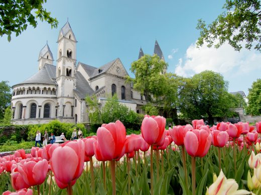 Tulpenpracht an der St. Kastor Kirche in Koblenz. Foto: Koblenz-Touristik/ideemedia