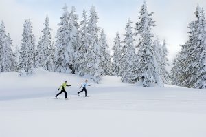 Im Gleitschrritt durch die Winterwelt: Das Tiroler Pillerseetal spurt mehr als 150 Kilometer Loipen.