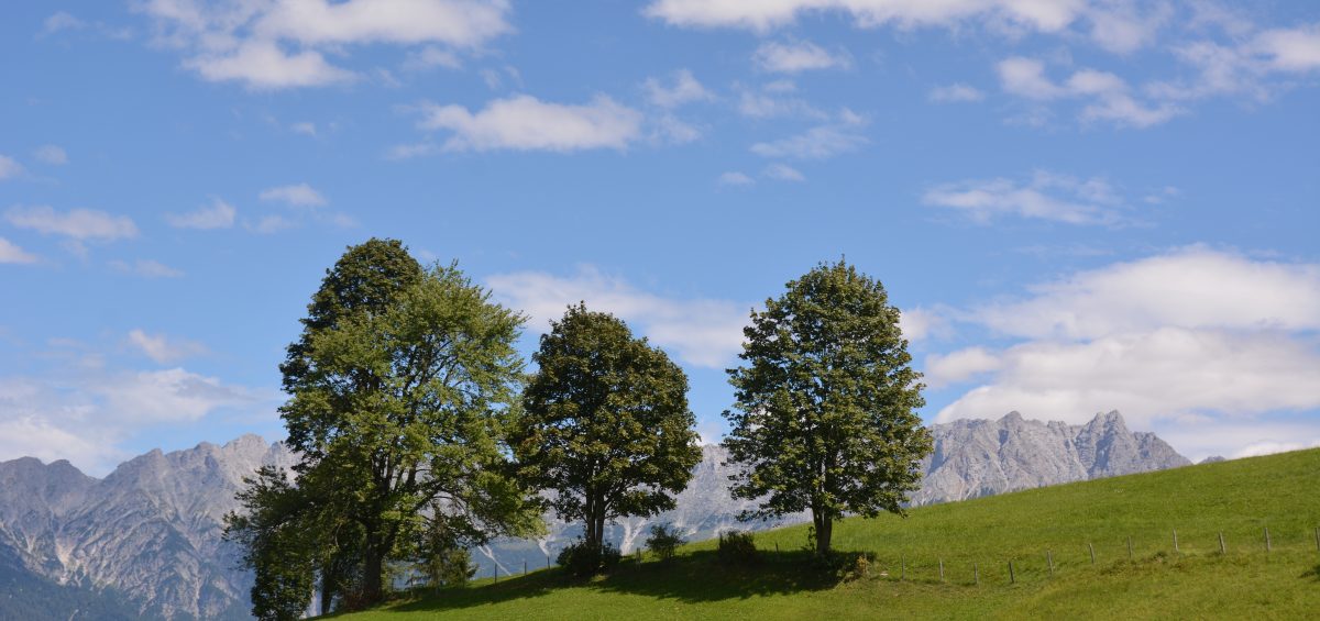 Fotokurse in den Kitzbüheler Alpen