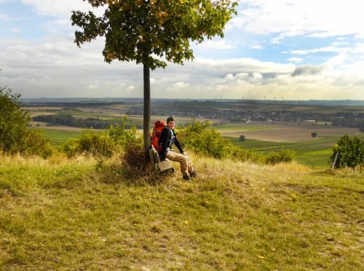 Fern-sehen über Rheinhessen