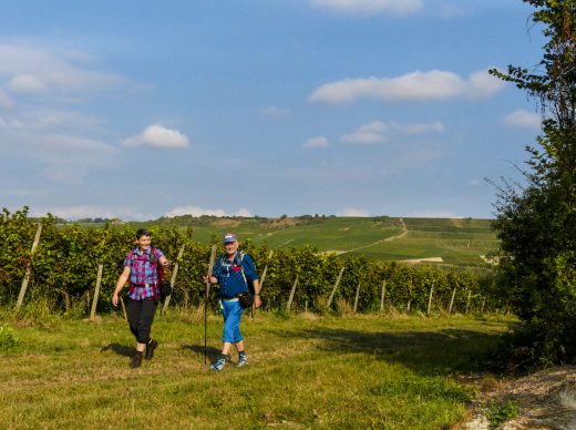 Wandern durch die Weinberge