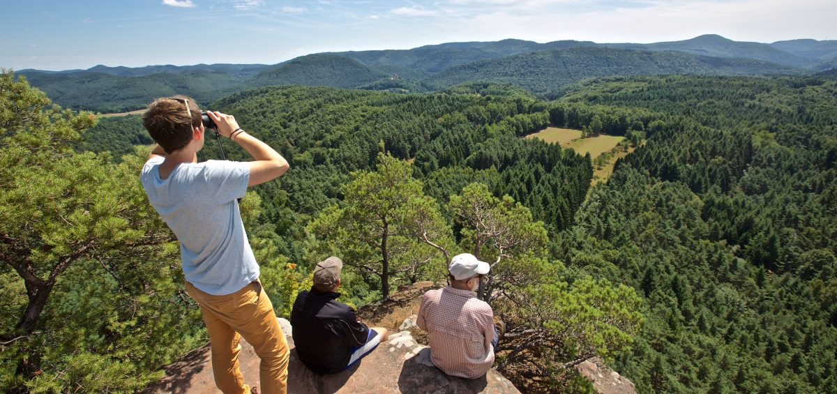 Wälder, Wiesen und Wein: Deutschlands größes Waldgebiet lockt mit 17 Premium-Wanderungen. Foto: Dahner Felsenland/Jaques Noll